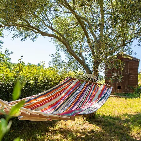 Les Hauts De Jeanvert - 80m2 - Piscine - *