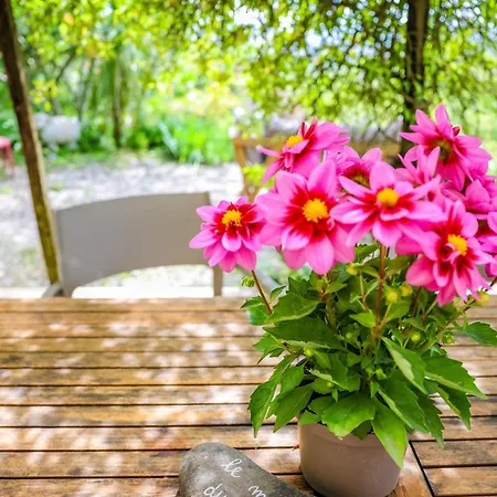 Сasa de vacaciones Les Hauts De Jeanvert - 80m2 - Piscine - *